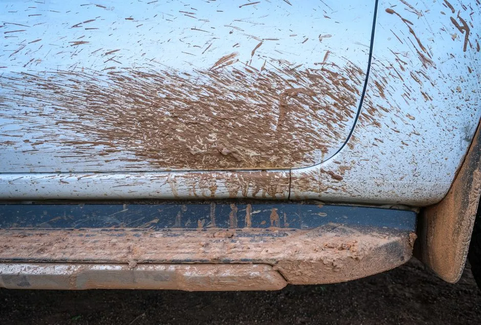 dried tree sap and bird droppings etched into a car bonnet in tropical Cairns heat